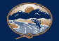 Ennis Chamber of Commerce
