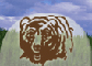 MT Fish, Wildlife & Parks